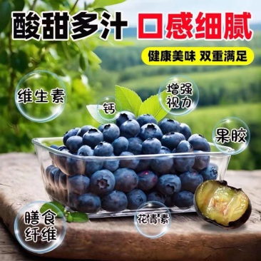{预售}精品优瑞卡蓝莓基地直发规格齐全品质可保