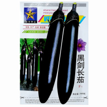 黑剑长茄种子一代杂交黑茄子种子黑又亮蔬菜基地高产