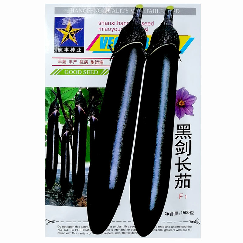 黑剑长茄种子一代杂交黑茄子种子黑又亮蔬菜基地高产
