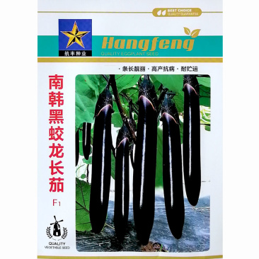 南韩黑蛟龙长茄种子条长早熟黑茄子种子高产蔬菜基地