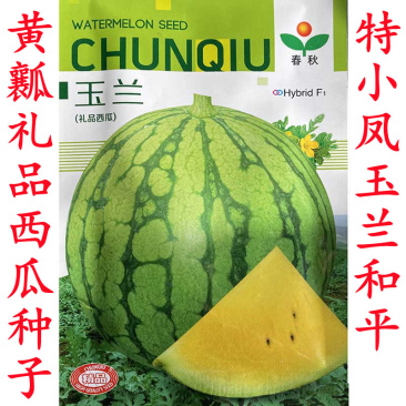 玉兰礼品西瓜种子超甜高糖型绿皮黄瓤薄皮高产小西瓜种子
