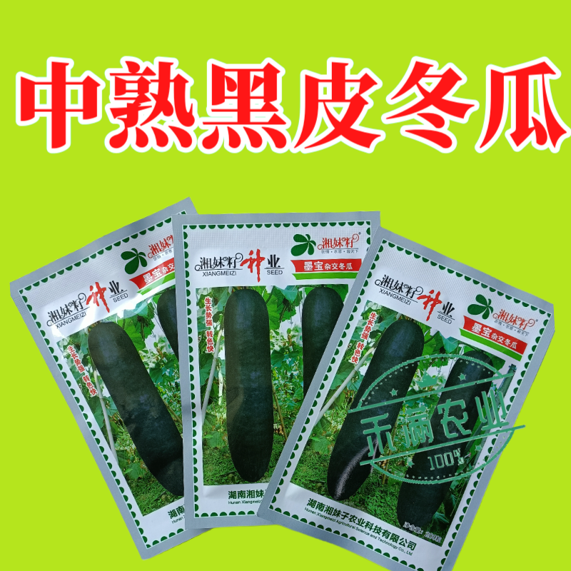湘妹籽墨宝冬瓜种籽黑皮冬瓜种子高产特大冬瓜种孑一代杂交耐