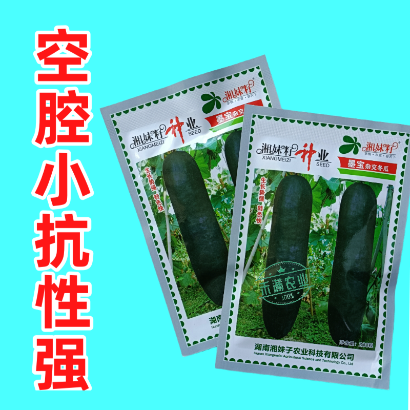 湘妹籽墨宝冬瓜种籽黑皮冬瓜种子高产特大冬瓜种孑一代杂交耐