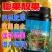 先益达芒果适用膨果肥通用微量元素水溶肥料