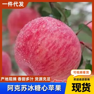 新疆阿克苏苹果(一件代发)冰糖心苹果礼盒装,代发全国