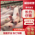 长白仔猪，防疫齐全，伤亡包赔，品种齐全量大优惠，全国发货