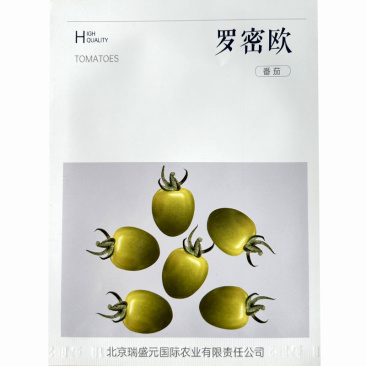 罗密欧樱桃番茄种子水果番茄绿色果口感好无限生长型