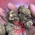 无比加革中药材泡酒料无比加革片，个子