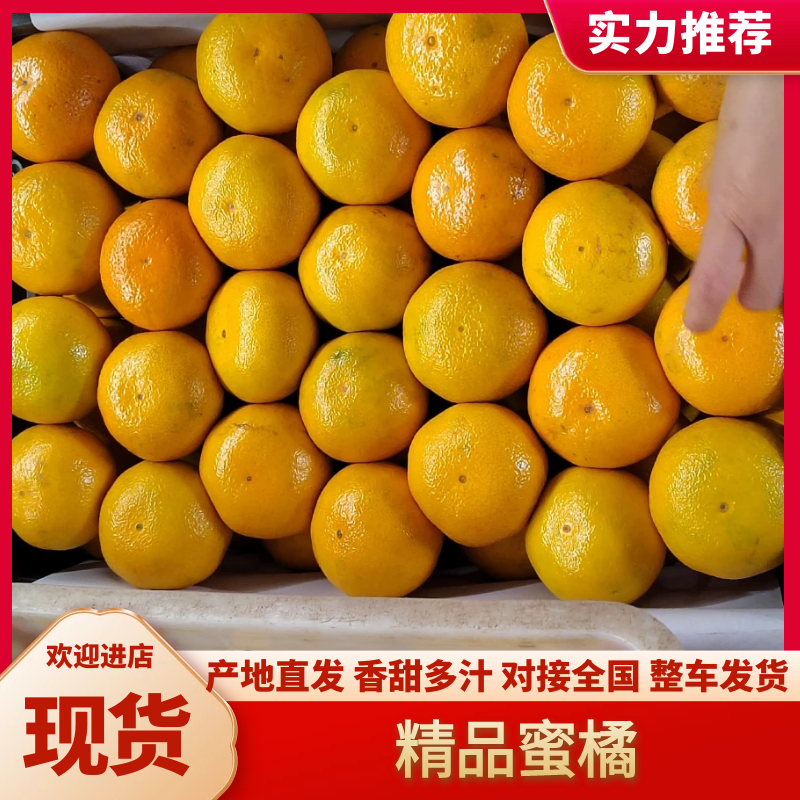 小叶蜜橘高山蜜橘口感纯甜化渣供应商超市场社区团购等
