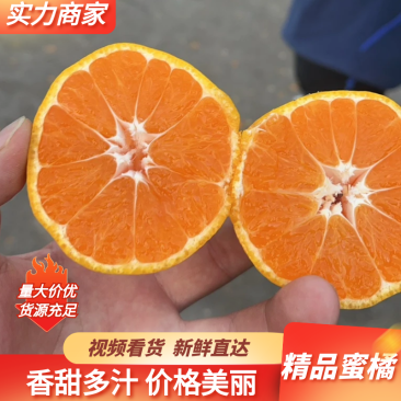 云南特早蜜橘小叶蜜橘皮薄多汁无核无渣对接电商外贸出口