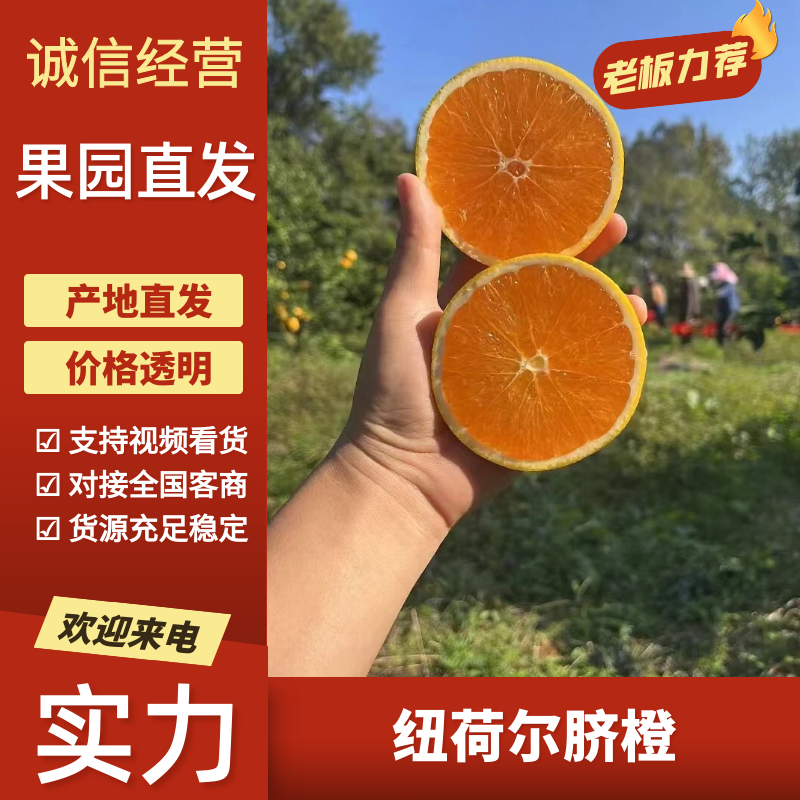 （实力商家）纽荷尔脐橙湖北橙子产地直供坏果包赔量大优惠