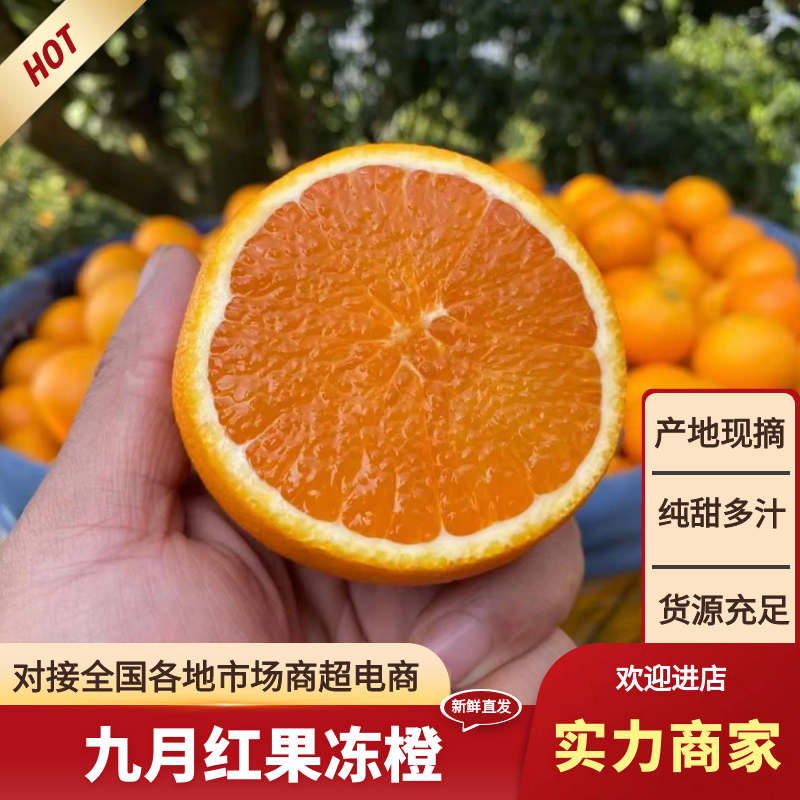 湖北橙子宜昌纽荷尔脐橙果园直采爆汁纯甜量大从优
