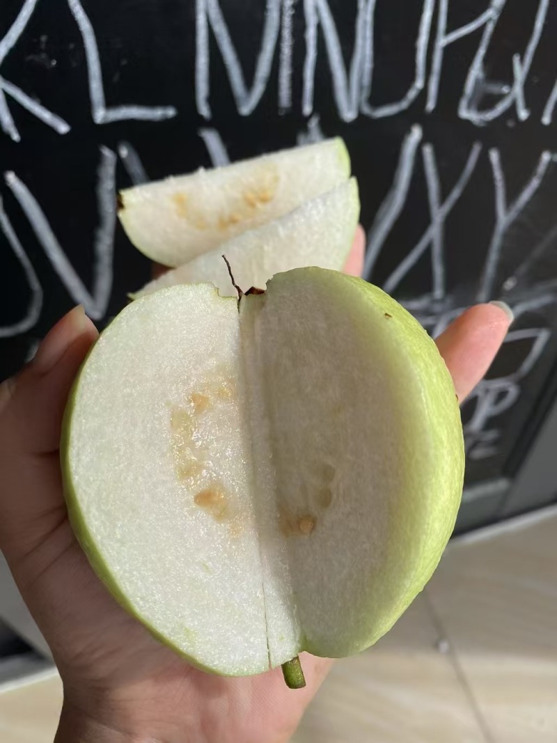 白心番石榴基地供应量大质优支持视频看货