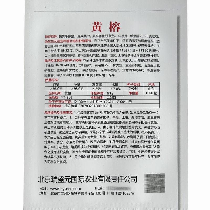 黄榕小黄番茄种子坐果集中小黄色结果多高产基地
