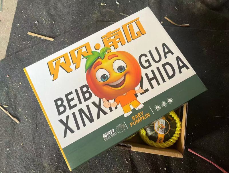 精品南瓜贝贝南瓜小南瓜礼盒软糯香甜营养丰富品质好价格低