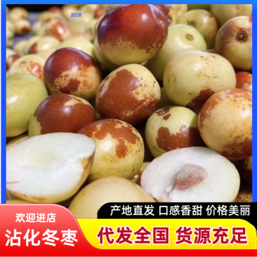 【精选】山东沾化冬枣对接市场批团购各大电商质优价廉
