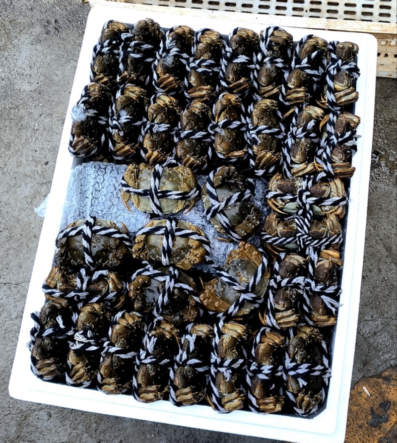 精品大闸蟹湖北本地螃蟹产地一手货源发货快欢迎订购