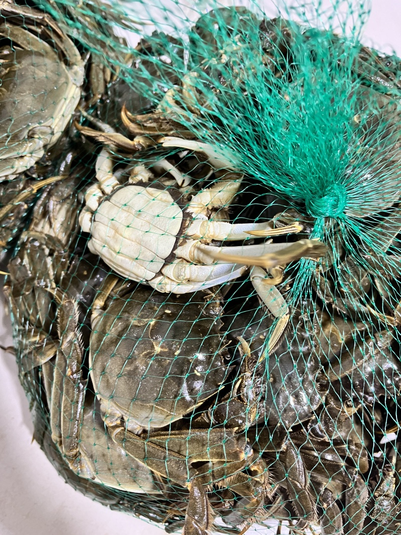 精品大闸蟹湖北本地螃蟹产地一手货源发货快欢迎订购