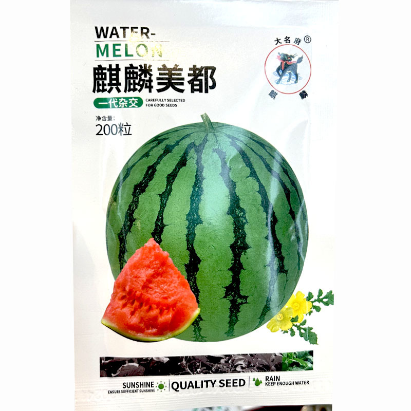 麒麟美都西瓜种子皮薄耐裂少籽超甜脆大田基地种植