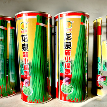 豇豆种子超长豆角龙泉新小福贵早熟翠绿色大棚基地品种