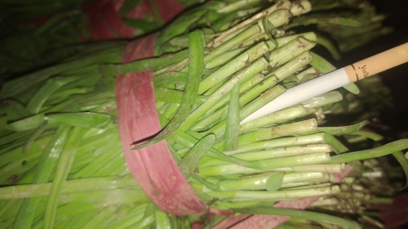 邢台清河县精品韭菜，新鲜现货，保质保量，欢迎老板选购