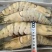 黑虎虾规格齐全一盒20个全国发货冷链发货肉质鲜美