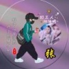张进成的一亩田店铺