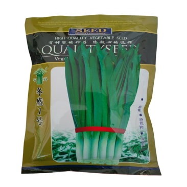 冬盛1号韭菜种子耐寒抗病高产不休眠宽大叶韭菜种子