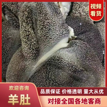 羊肚，全熟羊毛肚，羊净肚，工厂加工，质量保证