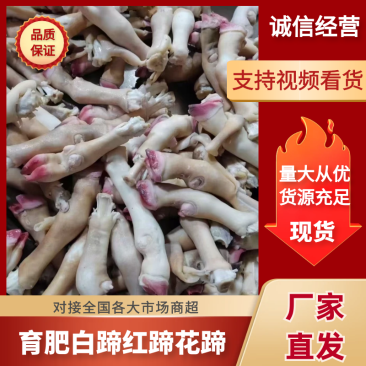 育肥白蹄，红蹄，花蹄，抽筋，不抽筋大小规格都有。