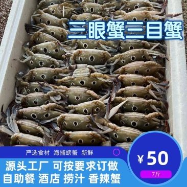 三眼蟹三目蟹肉质饱满活冻自助餐捞汁7斤