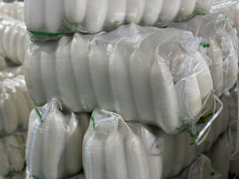 【热卖】湖北白萝卜精品萝卜产地直发品质保障欢迎致电