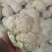 【有机花】陕西花菜规格齐全按照需求分拣打包全国接单