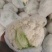 【有机花】陕西花菜规格齐全按照需求分拣打包全国接单