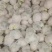 【有机花】陕西花菜规格齐全按照需求分拣打包全国接单