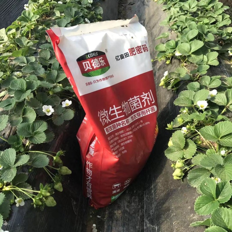 微生物菌剂稀土改良土壤缓解板结高产抗重茬