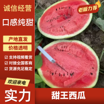 云南甜王西瓜西瓜质量好糖度高对接全国批发市场等量大优惠