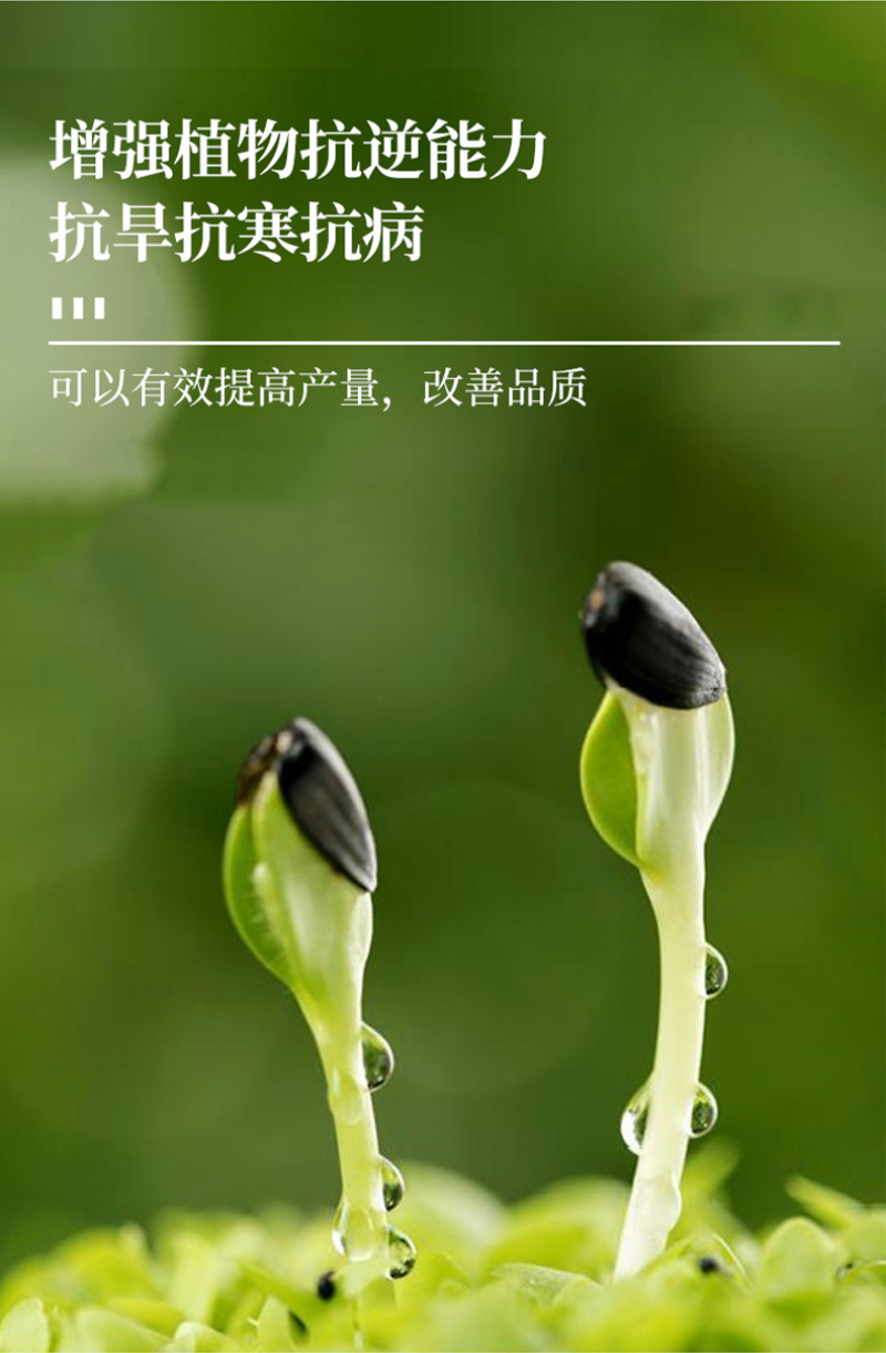微生物菌剂微生物菌肥微生物肥微生物有机肥水溶肥