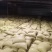 纯木质颗粒含专票产地直发品质保证可视频看货