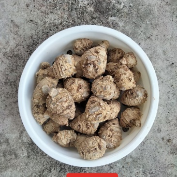 浦北莪术新鲜上市，产地直供，品质保证！
