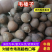 毛榛子生熟六个满仁打底