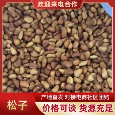 花皮松子，七个满仁，三个半，2024年新货