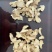 云南干姜片，品质保证，价格优惠，服务周到，大量上市