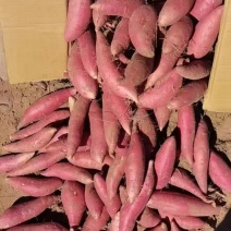 烟薯25烤块，中块，电商货大量供应，红皮红心，口感软糯