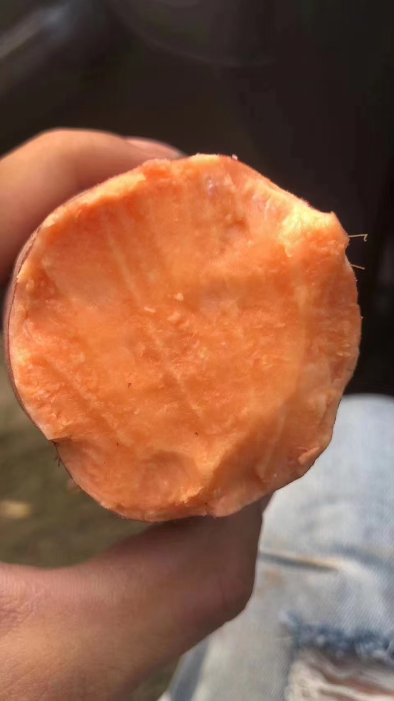 烟薯25烤块，中块，电商货大量供应，红皮红心，口感软糯