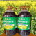纯正菜籽油新疆特产物理压榨食用油炒菜家用大桶油包邮批发