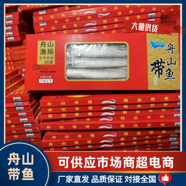 精品舟山带鱼水产批发规格齐全品质保证量大从优欢迎来电订购