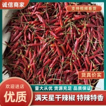 精品满天星干辣椒，品质保证，价格优惠，特辣特香，服务周到