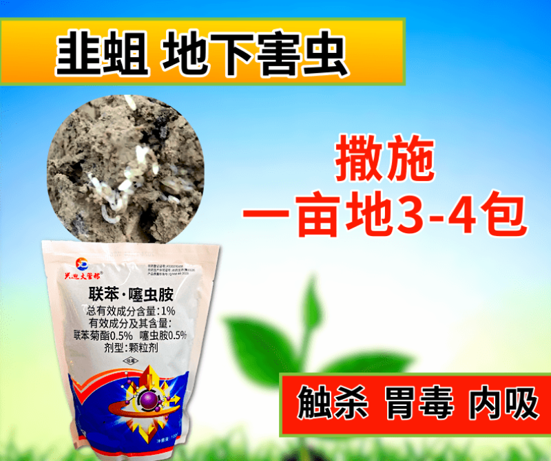 1%联苯噻虫胺韭蛆地蛆地下害虫颗粒撒施杀虫剂