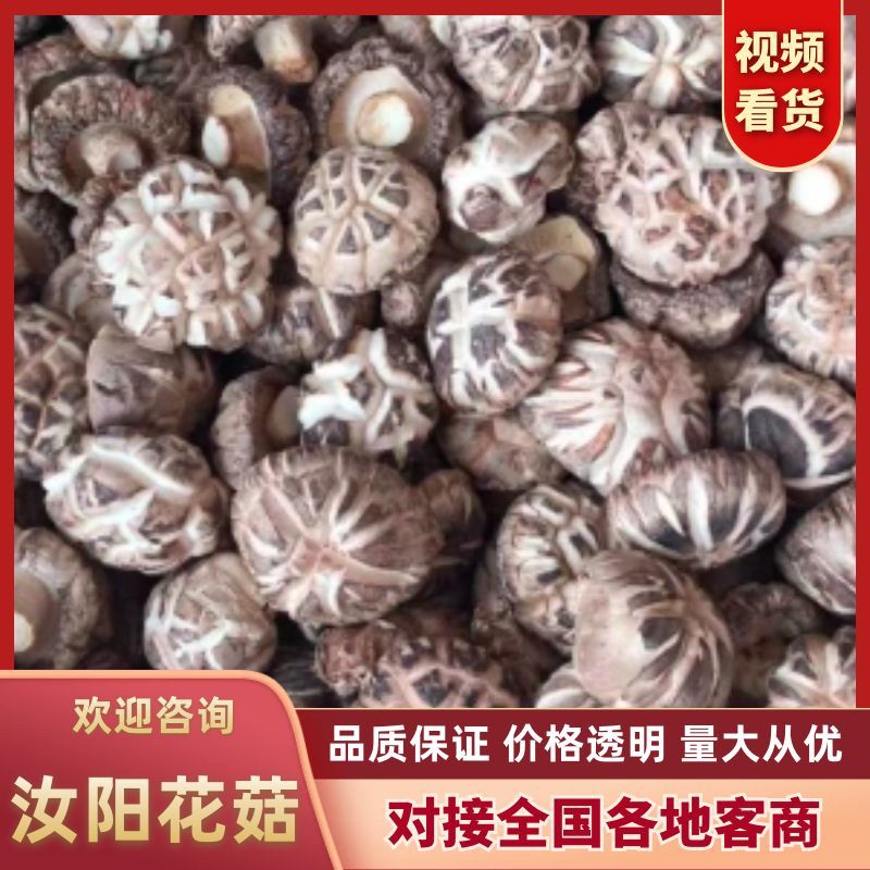 精选干花菇茶花菇红花菇大小型号齐全，